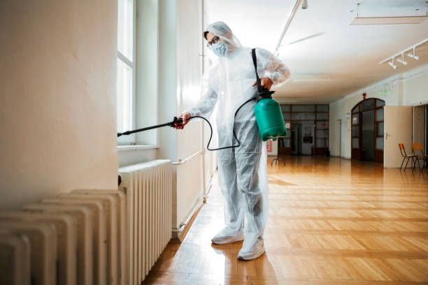 Emergency Pest Control in Emerald Bay, TX